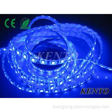 Waterproof tree decoration blue Led Strip Lights SMD3528, 60pcs/meter